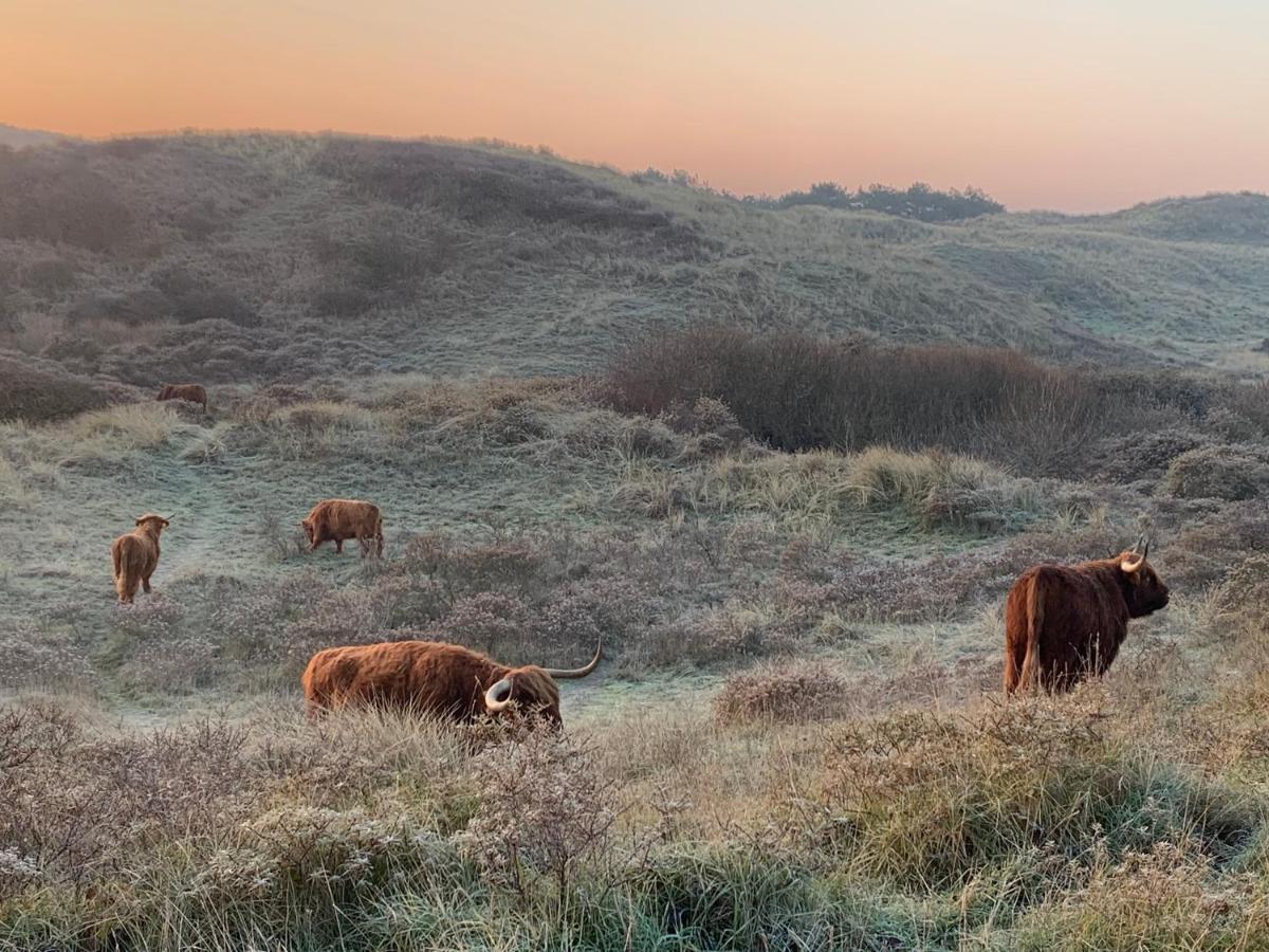Zomerhuis Beach Enjoy Egmond aan Zee Zewnętrze zdjęcie