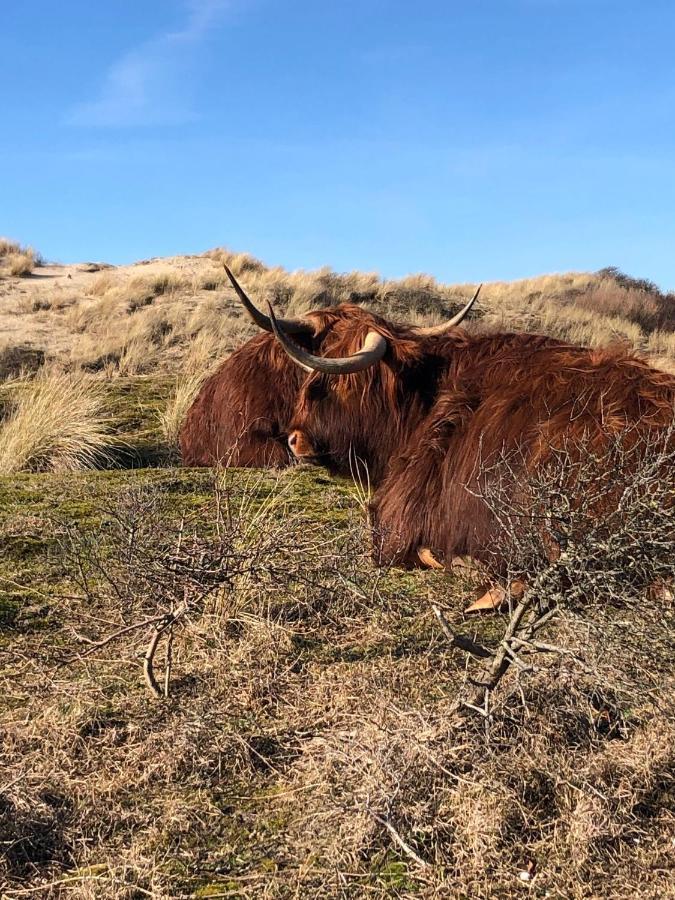 Zomerhuis Beach Enjoy Egmond aan Zee Zewnętrze zdjęcie